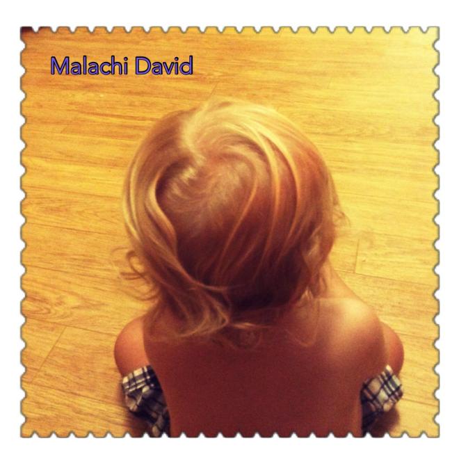 12138399_10153191371058519_6134599732695287057_o